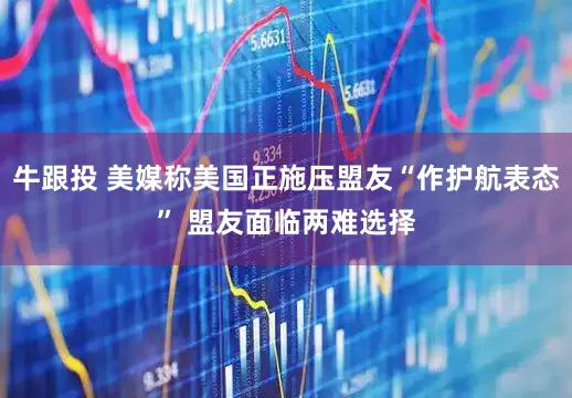 牛跟投 美媒称美国正施压盟友“作护航表态” 盟友面临两难选择